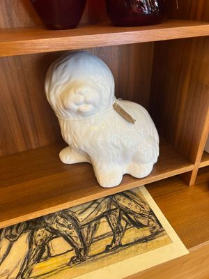 Hondje Droopy
