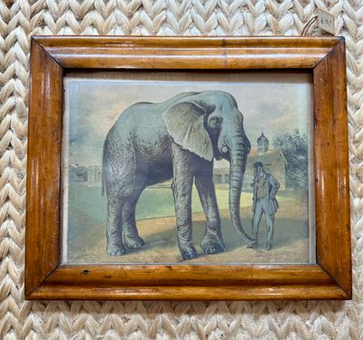 Historische prent van Jumbo de Olifant op hout