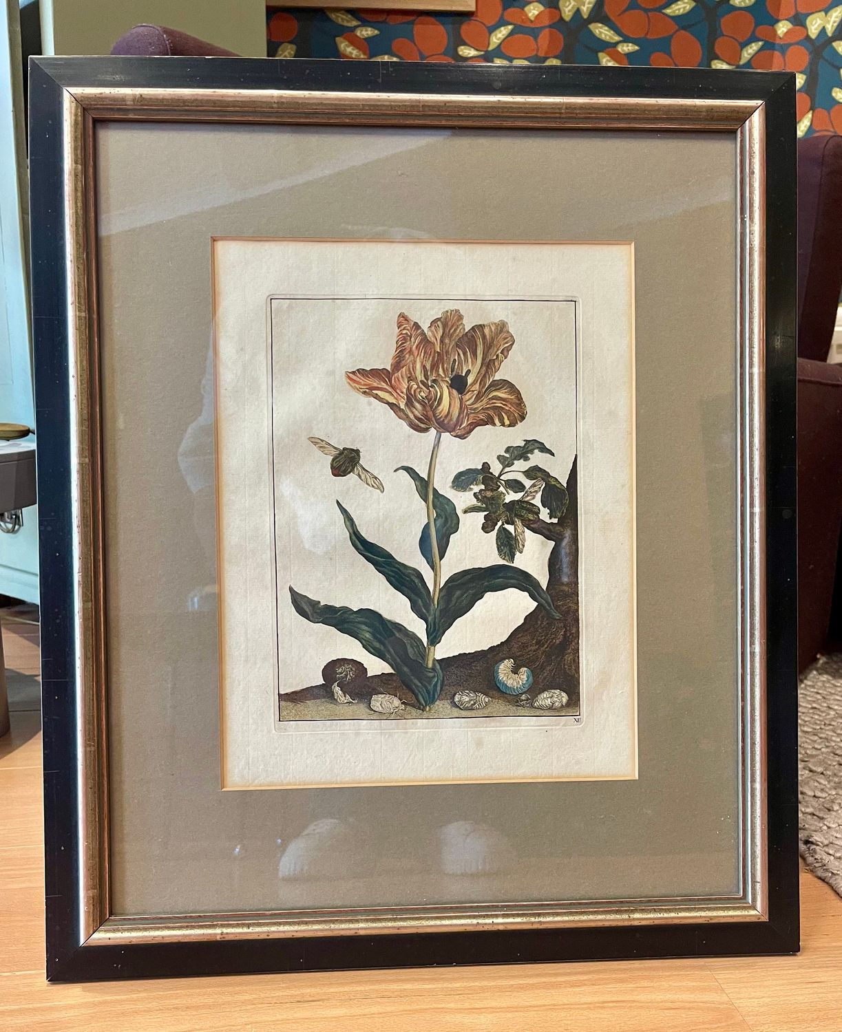 Jacob L'Admiral (170D-1770), Transformatie van
insecten met een Tulp, kopergravure