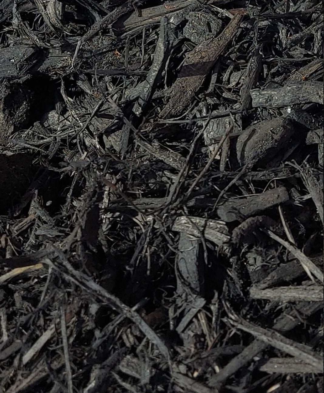 Black Mulch - ½ Yd