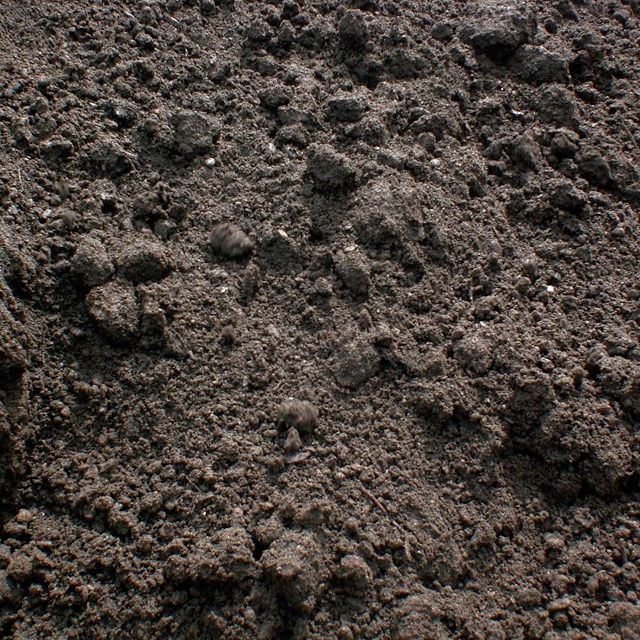 Loam - ½ Yd