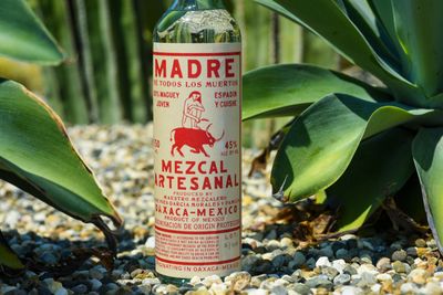 Mezcal