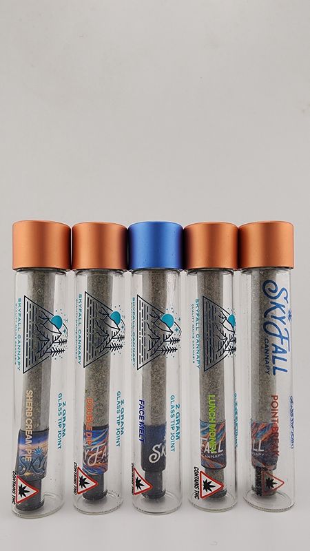 2g Glass filter Joint