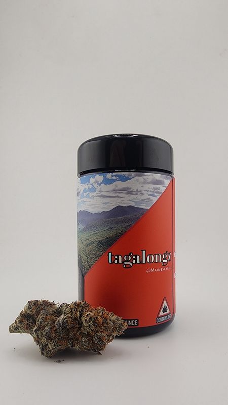 Tagalongz 7g Jar