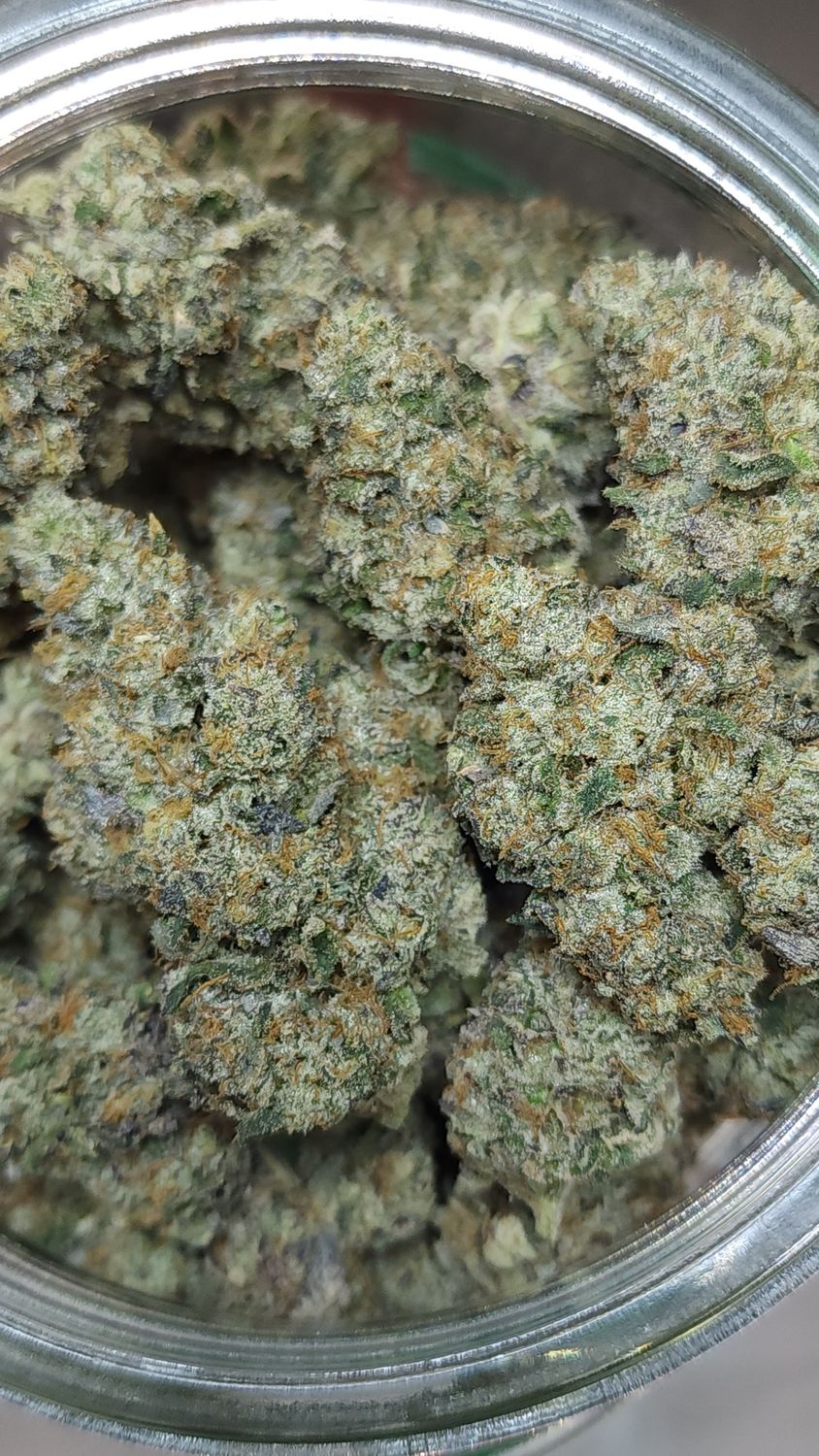 Sherb Cream Pie Flower
