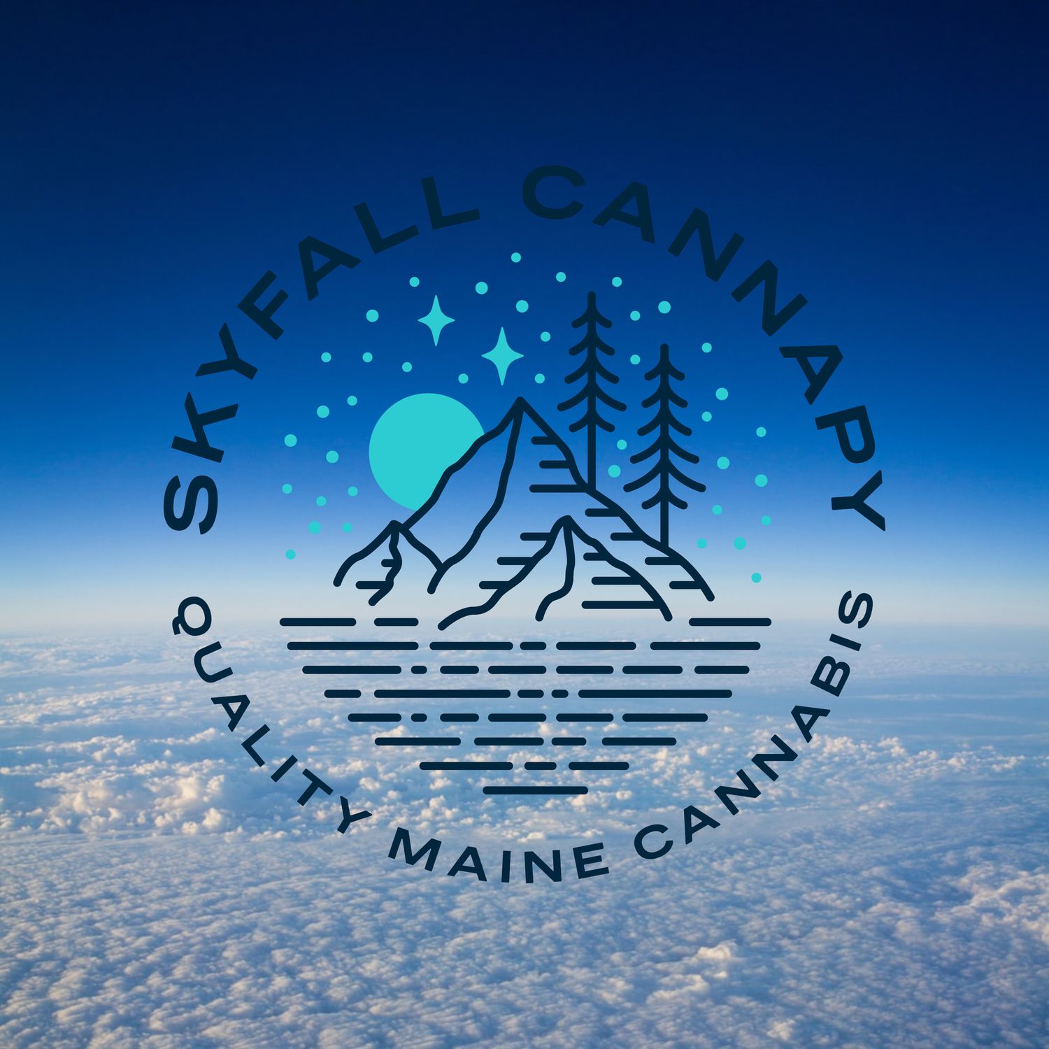 Deli Flower assorted