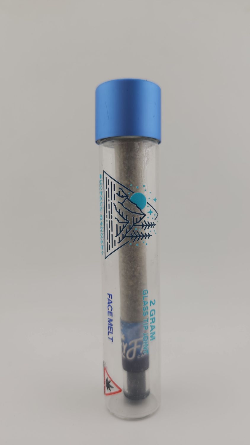 2g Glass Filter J