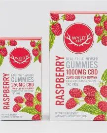 WYLD Real Fruit CBD Gummies - 1000mg