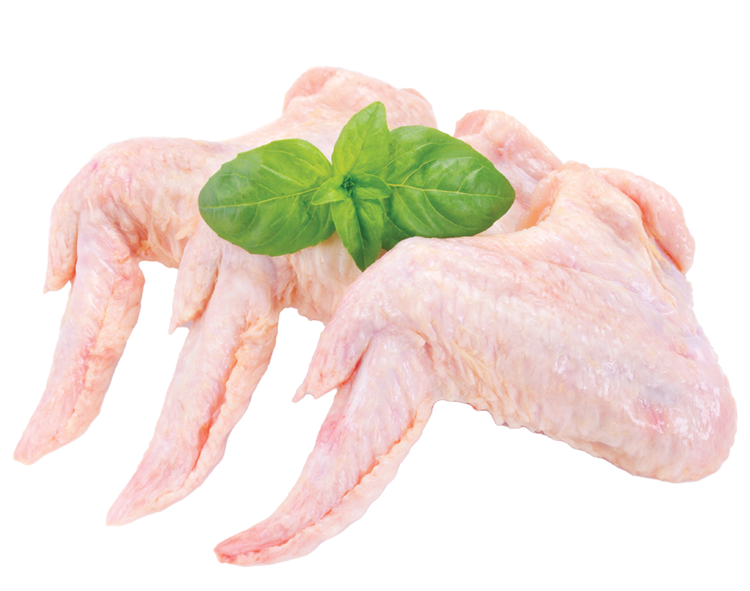 Ailes de Poulet bôite de 5kg