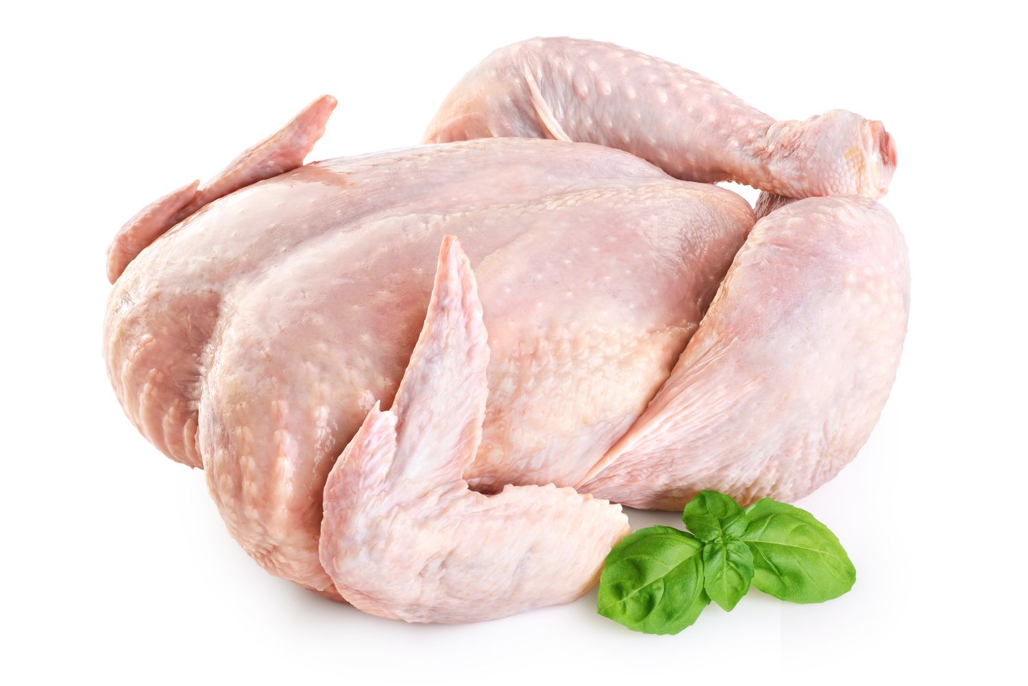 Poulet a bouillier