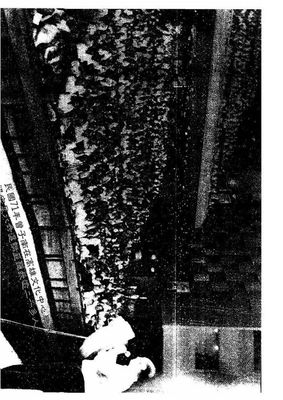 傳統風水與環保風水 - 曾子南 - 188頁 - 電子本 - 秒購秒看 - 電郵直達 - 玄珍閣 xuanzhenge.net/products