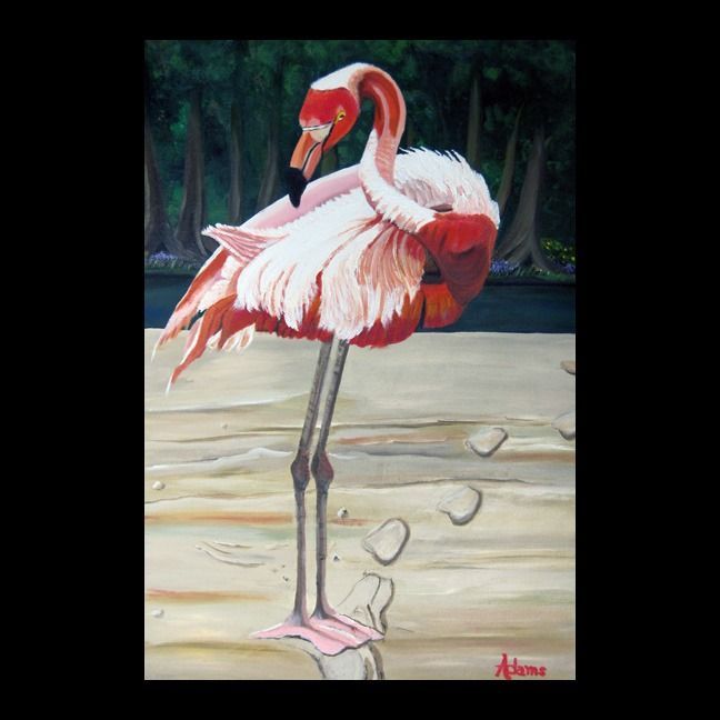 Flamingo Island