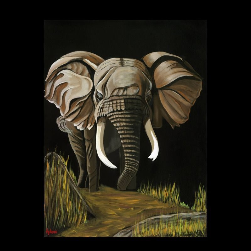 African Night
