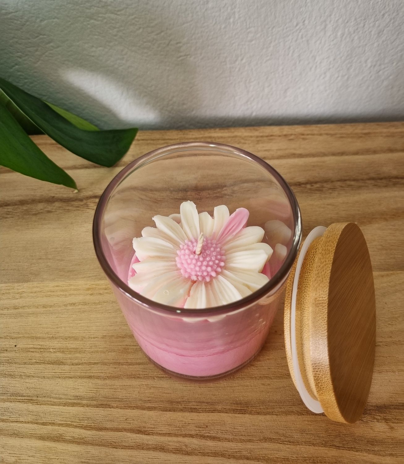 The Daisy