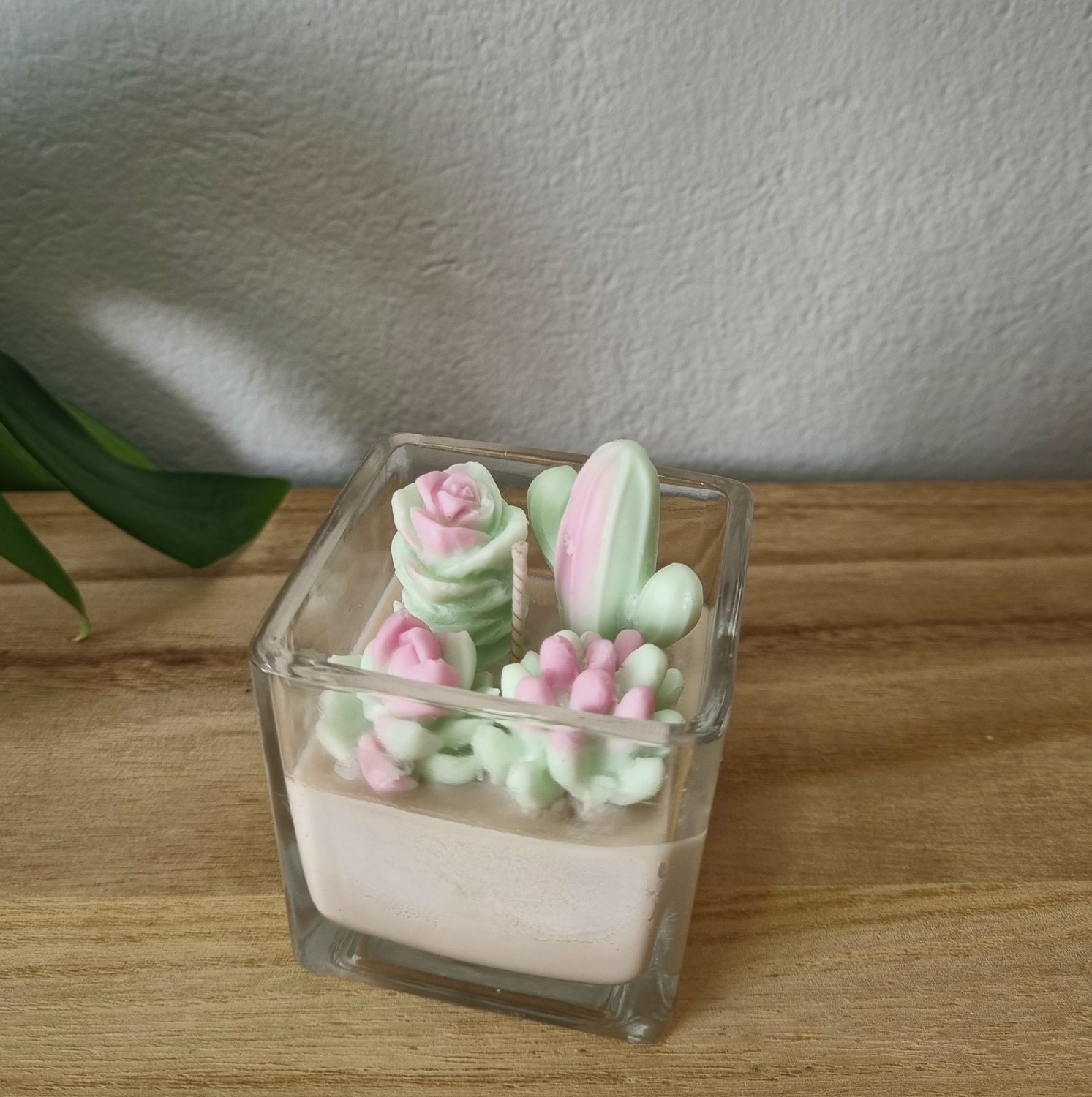 Mini Succulent Cube