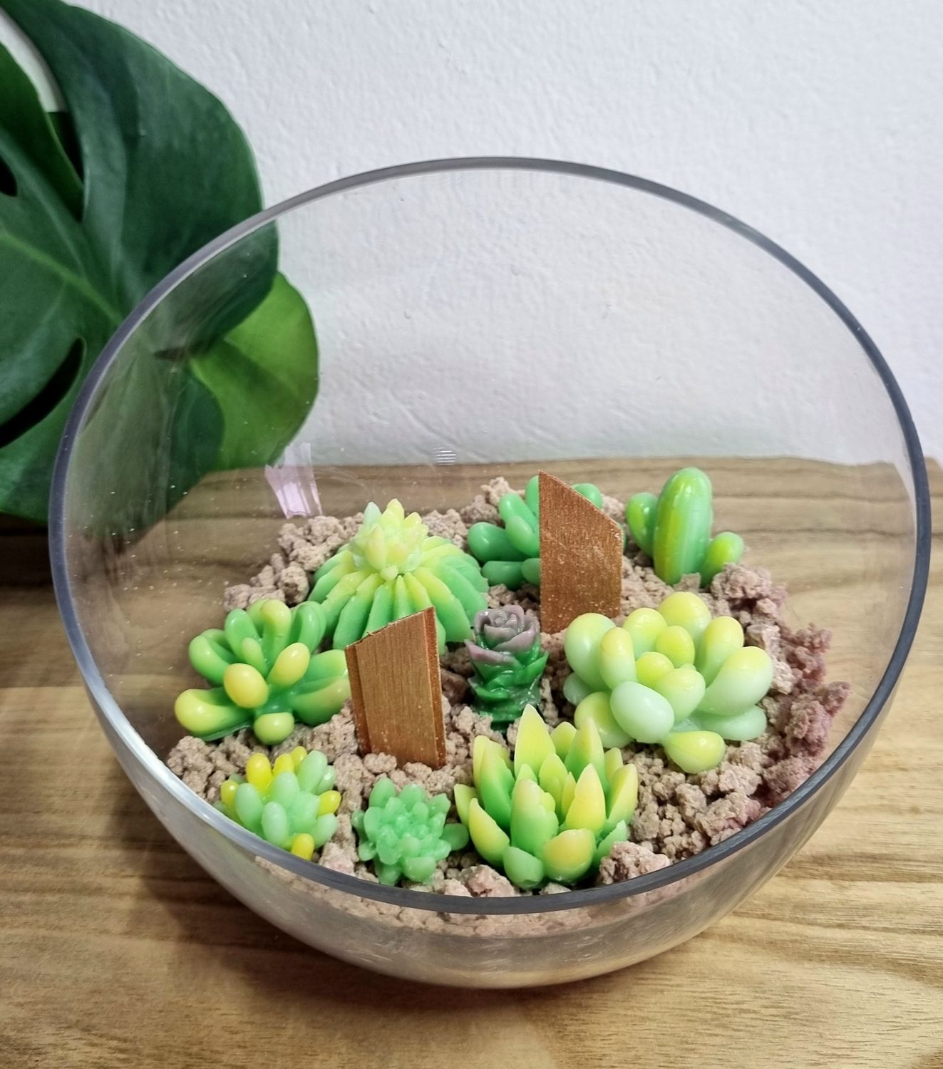Succulent Garden