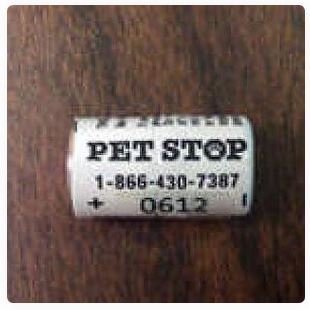 6.0 Volt Pet Stop® Lithium Battery (Single)