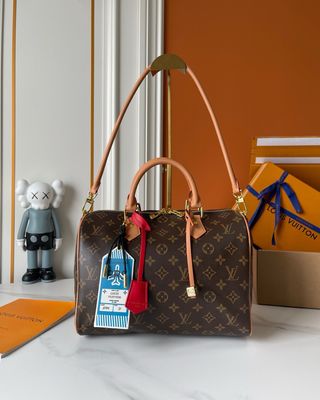 Louis Vuitton speedy soft 30 boho women bag ODSB05