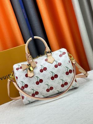 Louis Vuitton speedy soft 30 women bag ODSC12