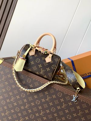 Louis Vuitton Crossbody Bag – Speedy 18 ODSG95 with Gold Chain and Monogram leather