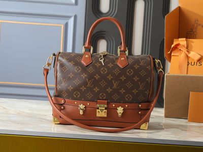 Louis Vuitton out of the trunk speedy 30 shoulder bag OIBF07