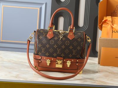 Louis Vuitton out of the trunk speedy bandouliere 22 shoulder bag OIBF08