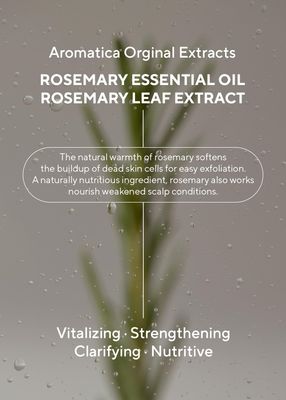 AROMATICA Rosemary 3-in-1 Treatment atstatanti ir stiprinanti plaukų kaukė su rozmarinais