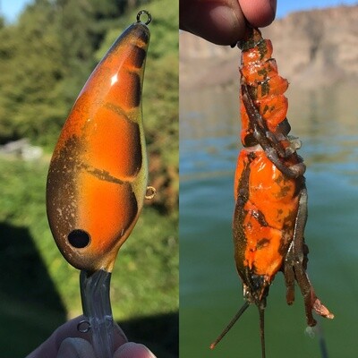 BC Craw