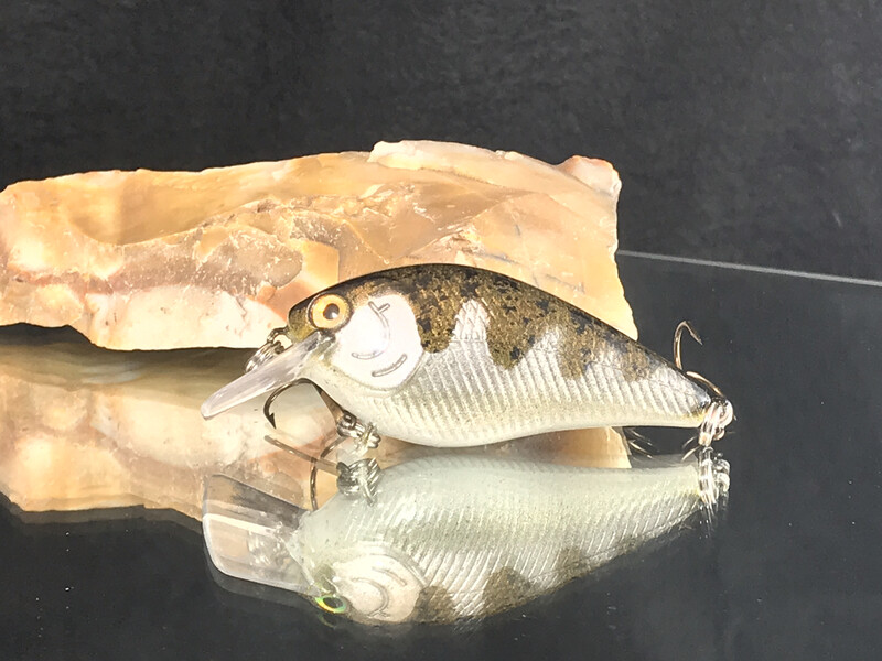 Mako Squarebill - Stickleback