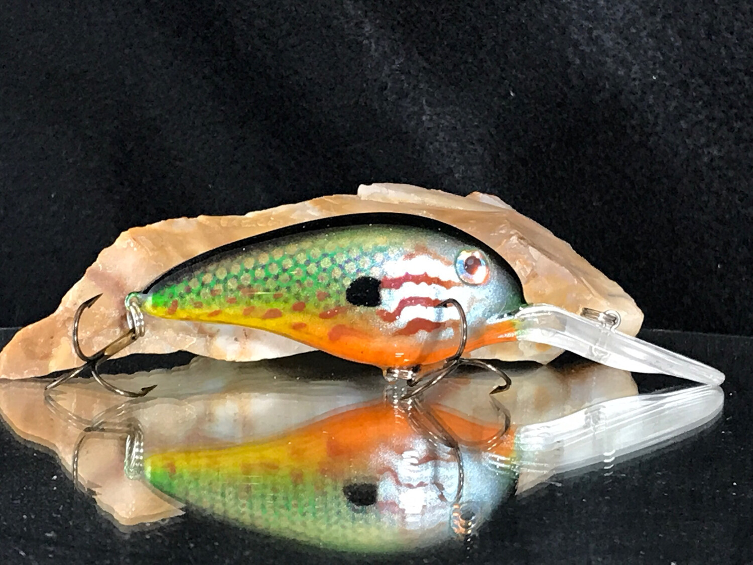 Captor - Pumpkinseed Bluegill