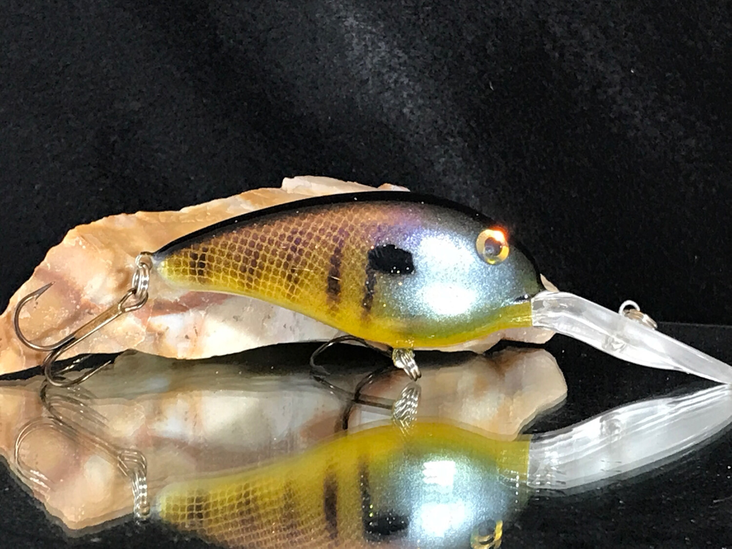 Captor - Bluegill
