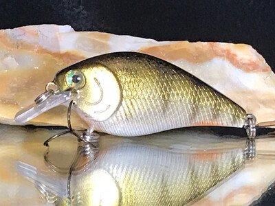 Mako Squarebill - Mjölnir Perch