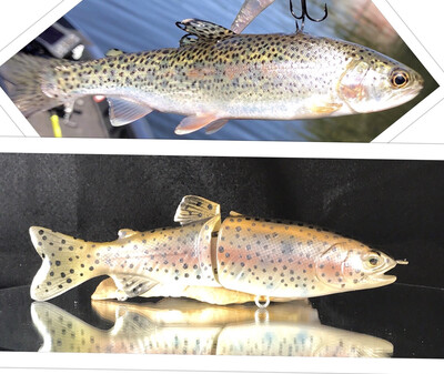 coastal Cutthroat trout