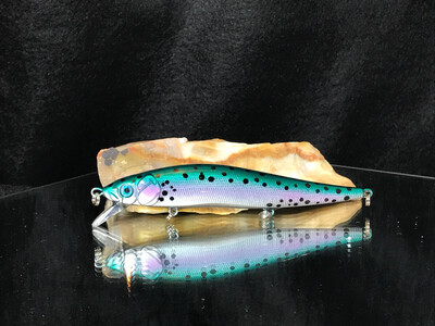 Bolt- Shasta Trout