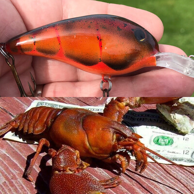 Columbia craw