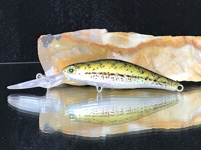 Wasp - Baby Bass