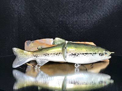 5” Glide - Baby Bass