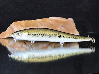 Bolt- Baby Bass