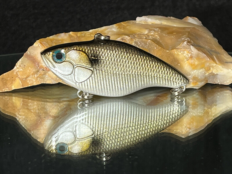 B52 - Gizzard Shad