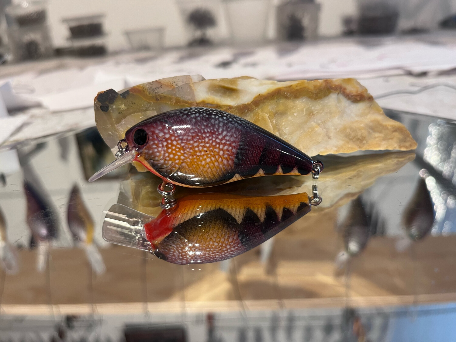 Mako Squarebill - Peek A Boo