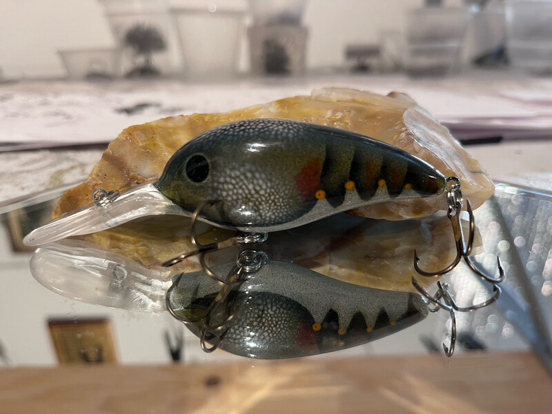 Captor - Olive Rusty Craw