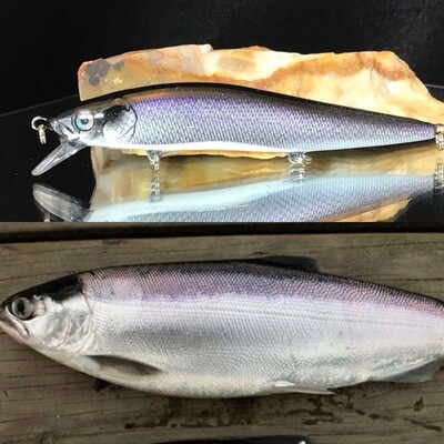 trout