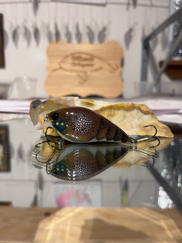 Mako Squarebill - Norm