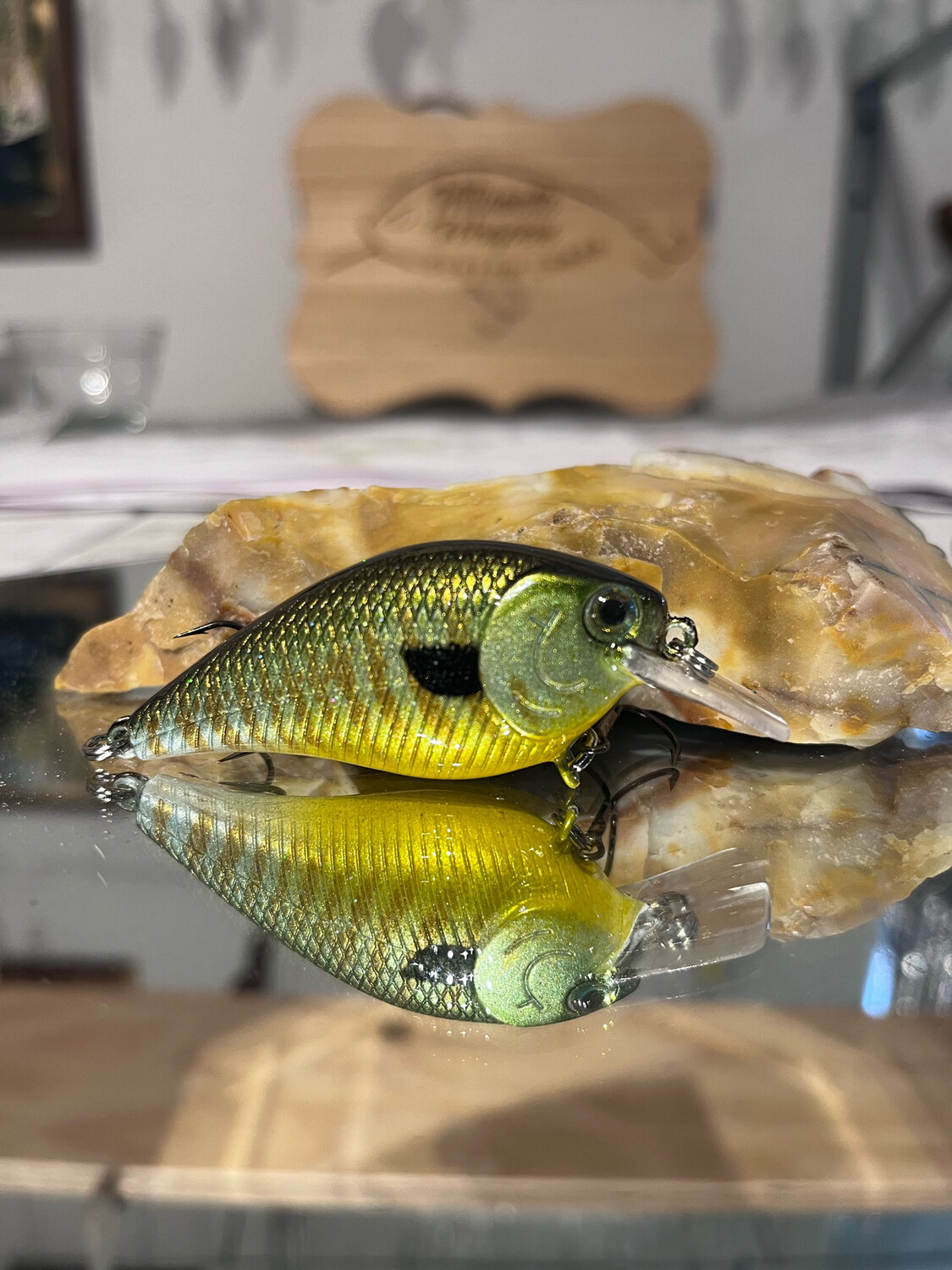 Mako Squarebill - Cool Gill