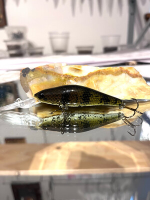 Wasp - Sculpin