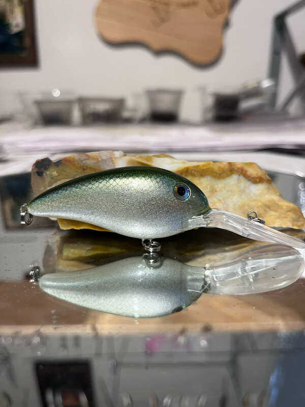 Captor - Blueback Herring