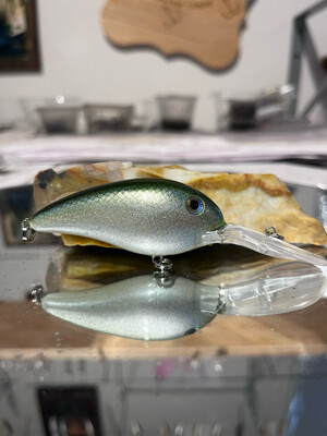 Captor - Blueback Herring