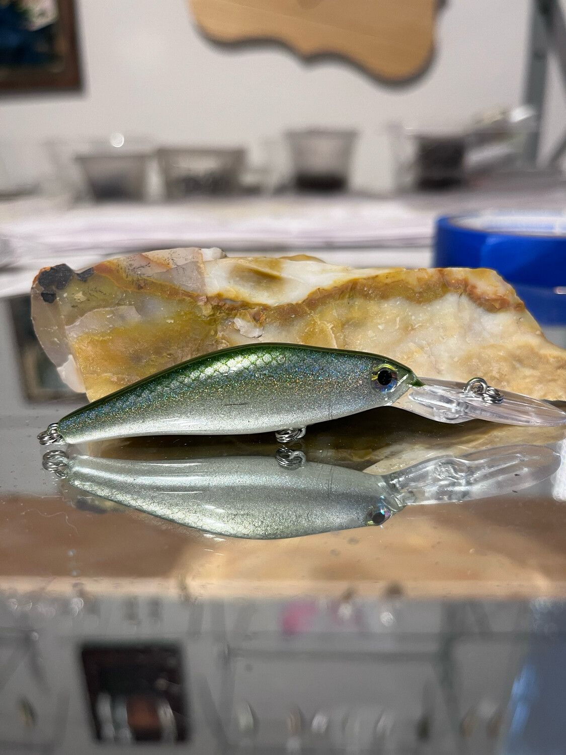 Wasp - Blueback Herring