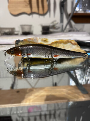 Bolt- Creek Chub