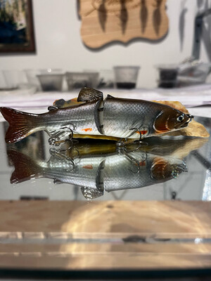 5” Glide - Creek Chub